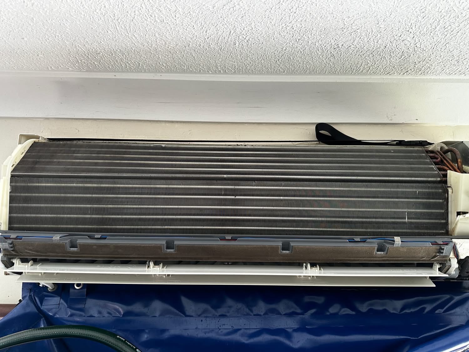 After - Spotless, efficient and healthy
