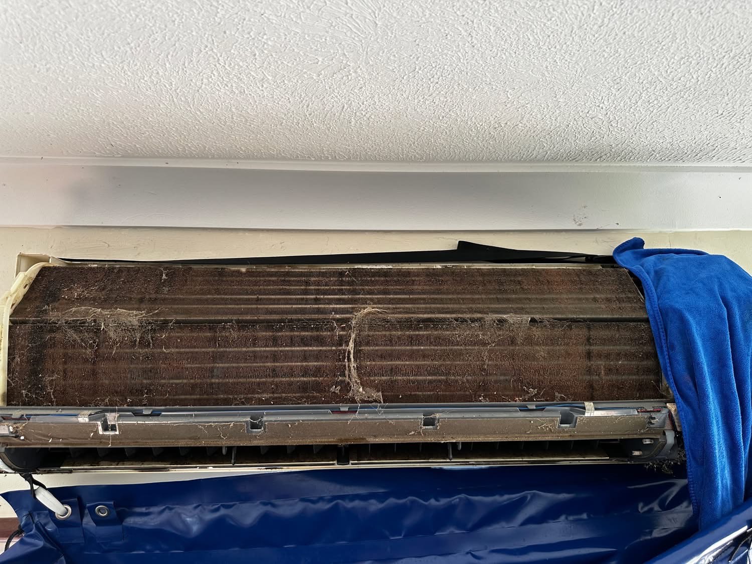 Before - Clogged with dust, mould and debris